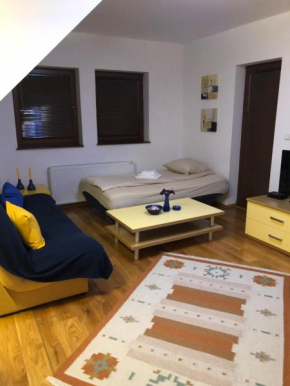 Komforan apartman 58m2 Babin Do Bjelašnica
